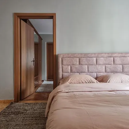 Center Cozy 티라나