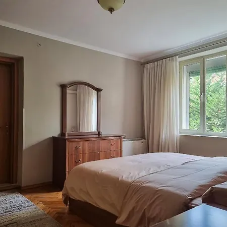 Center Cozy 티라나